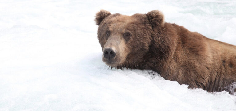    Фото: freepik.com/wirestock Ксения Зиннер