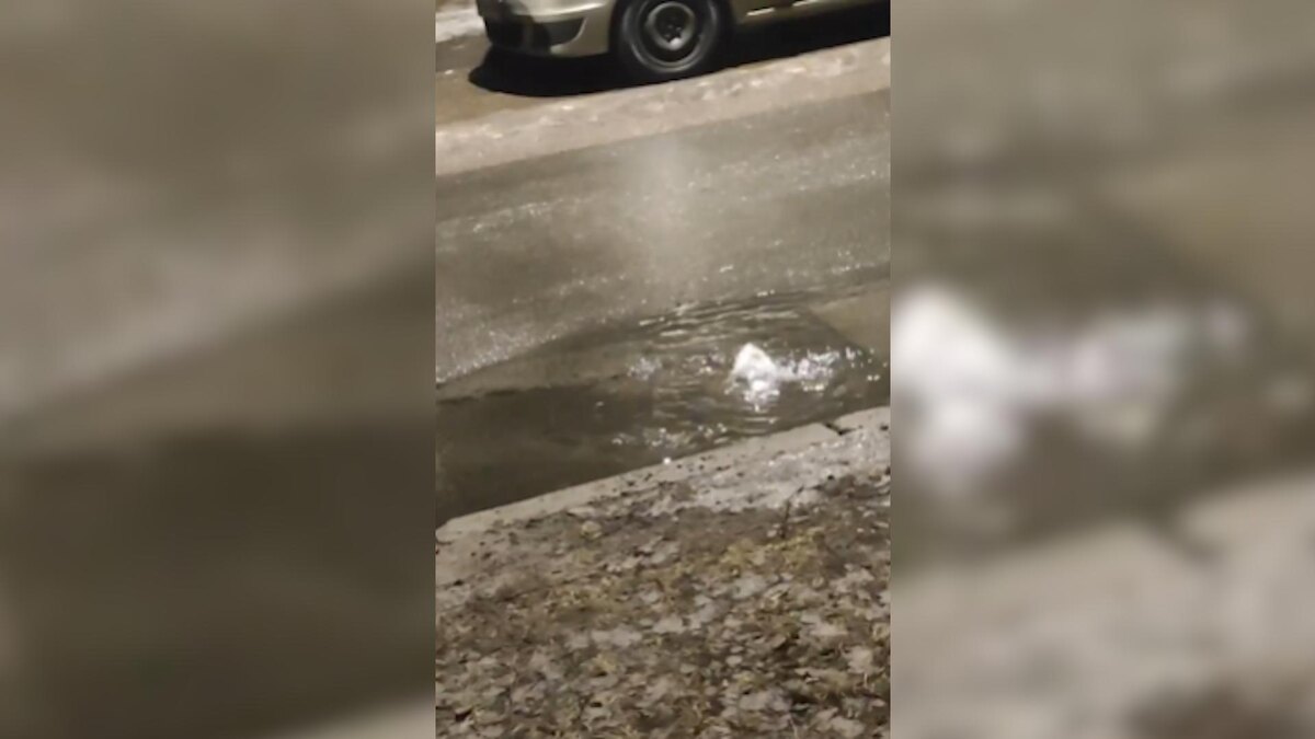    Фото: соцсети