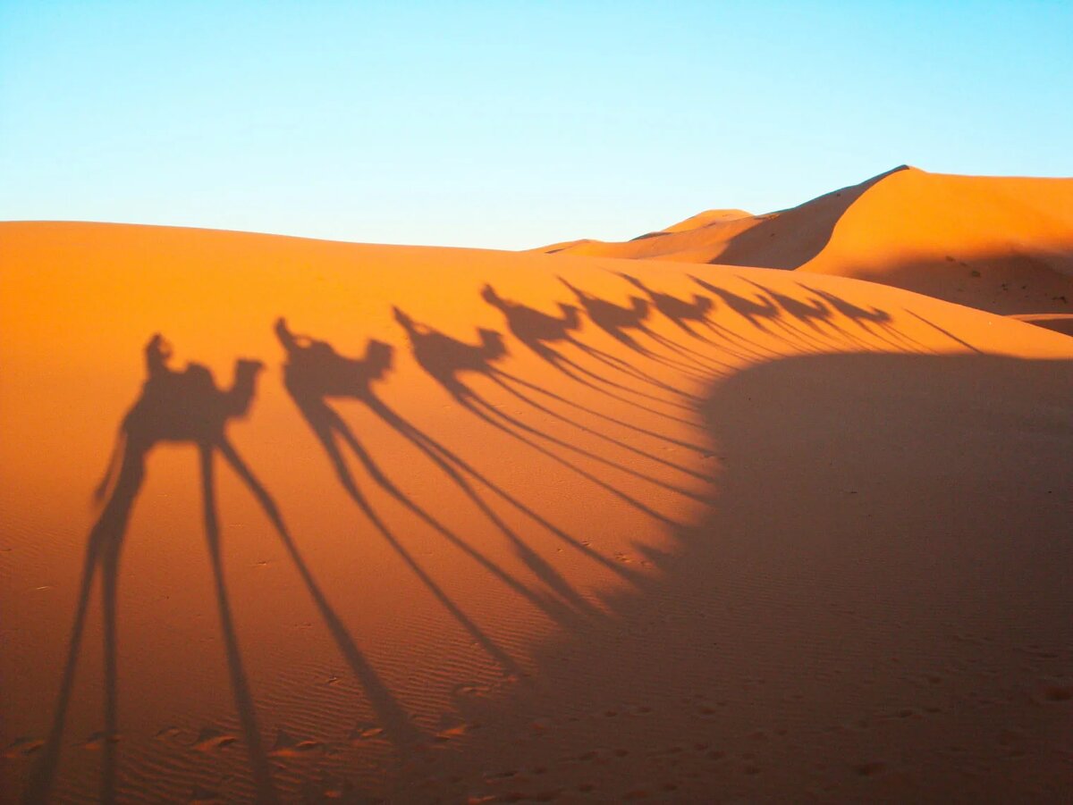 Ориентация по тени