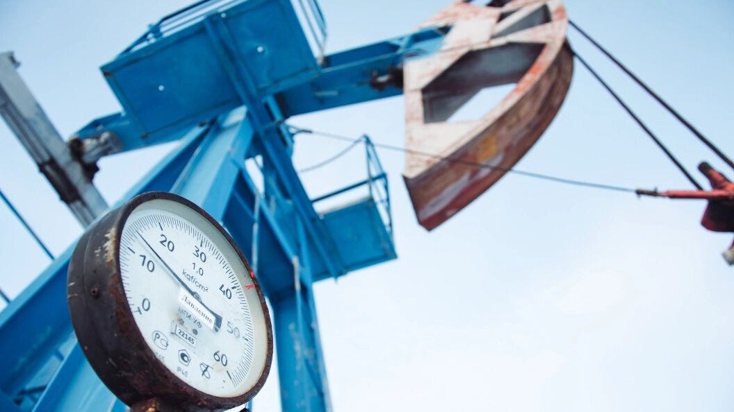    © Oleg Spiridonov/Globallookpress