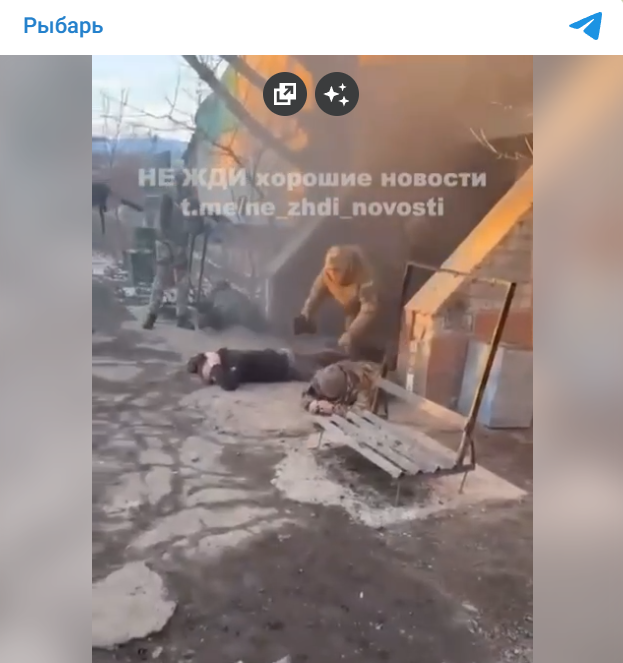    Фото: скрин видео из телеграм-канала "Рыбарь"