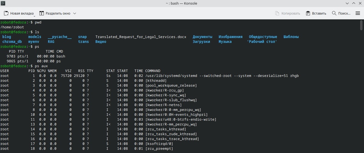 Терминал linux.