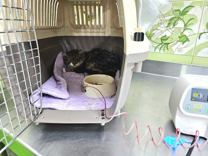 На переливании