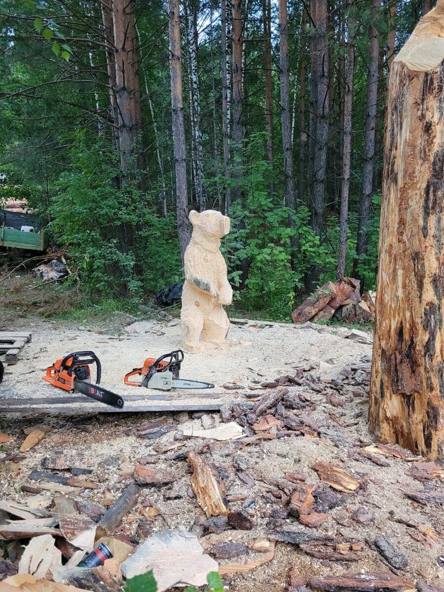 Август 2022 г. Мишка 2м.