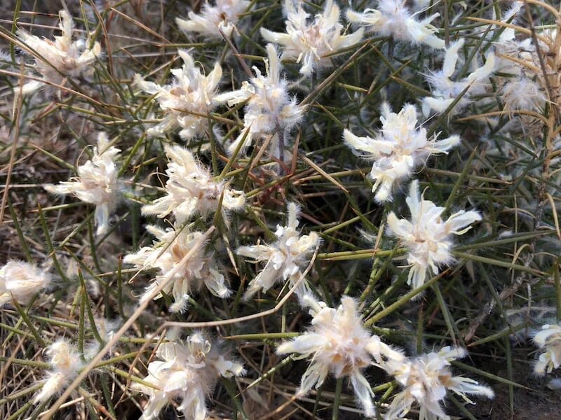 Фото: UfacityNews.ru