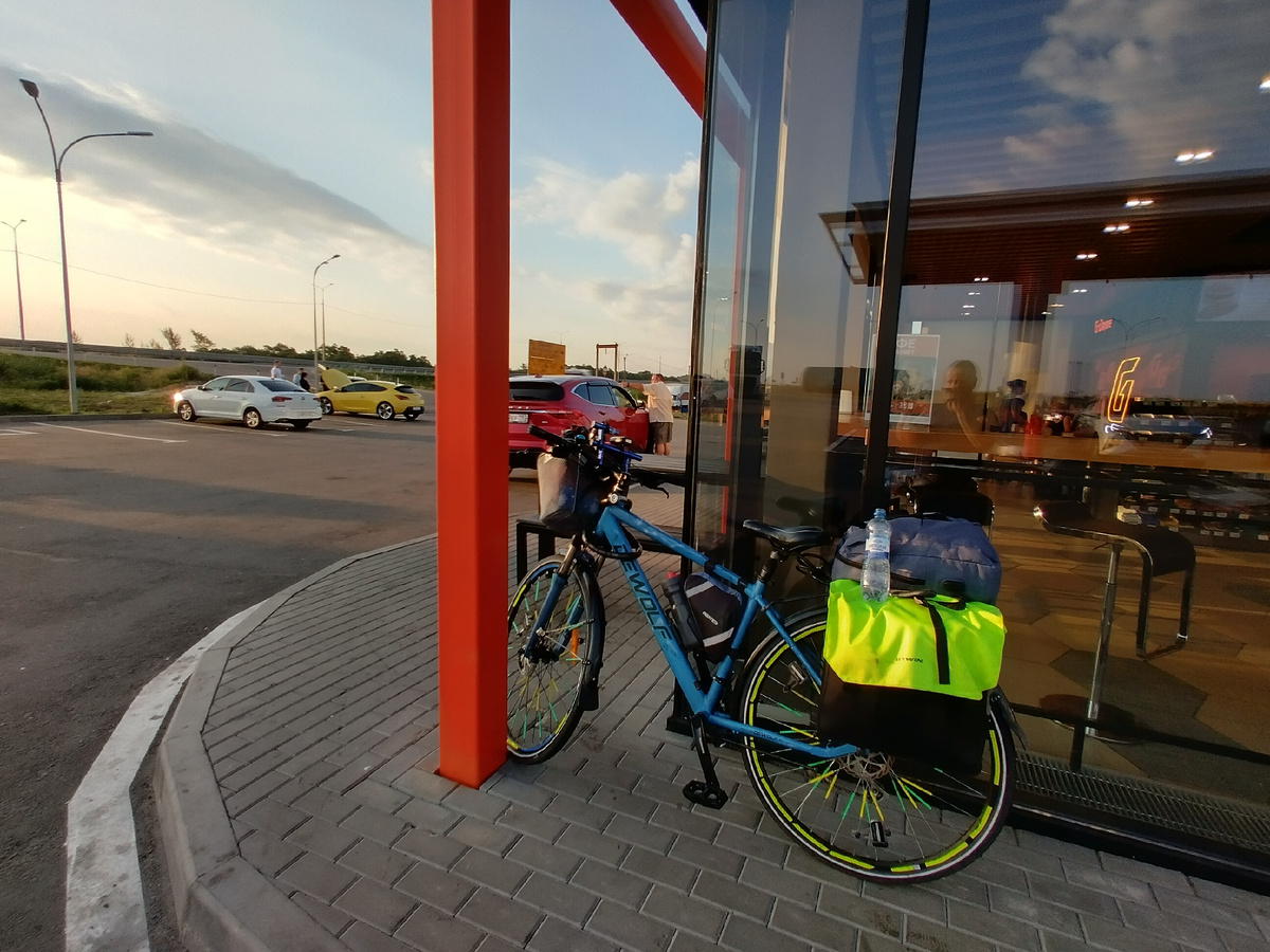 Мой верный волчонок, мой верный друг - поддержка в пути...