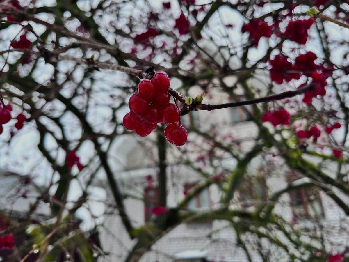 Где-то в Суздале 