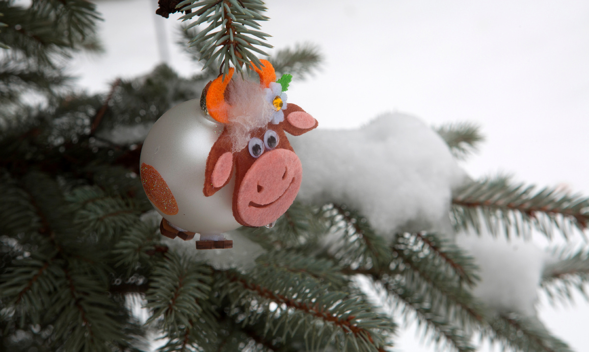 фото: Nikolay Gyngazov/Global Look Press