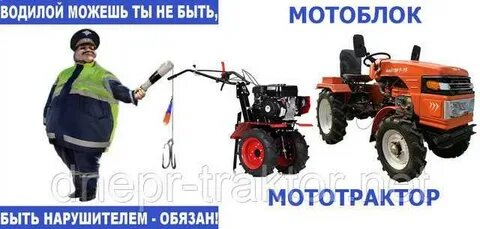 фото источник интернет