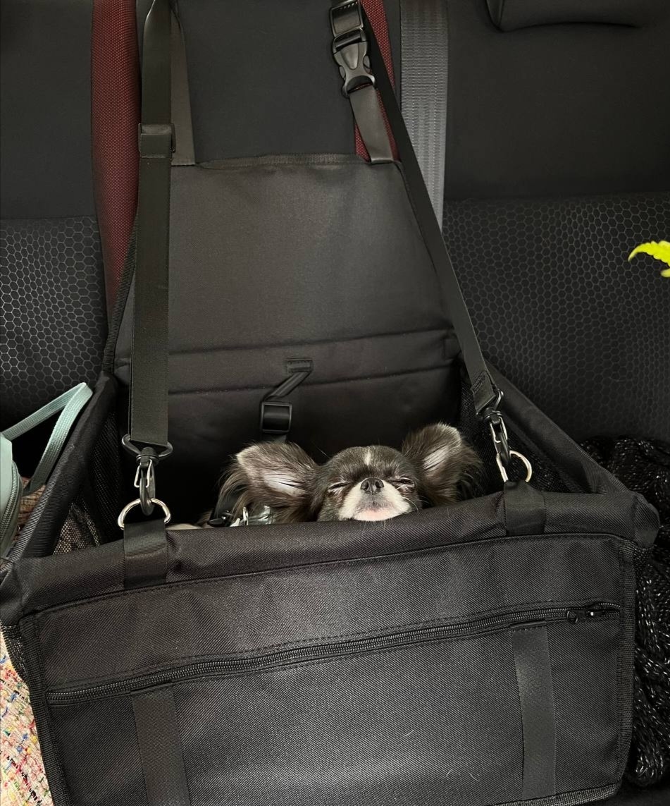 Пепсик в корзинке