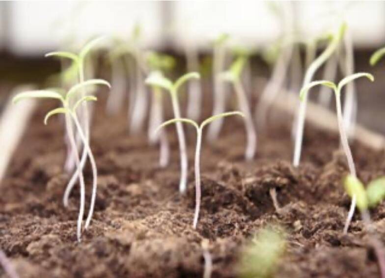 Из открытых источников