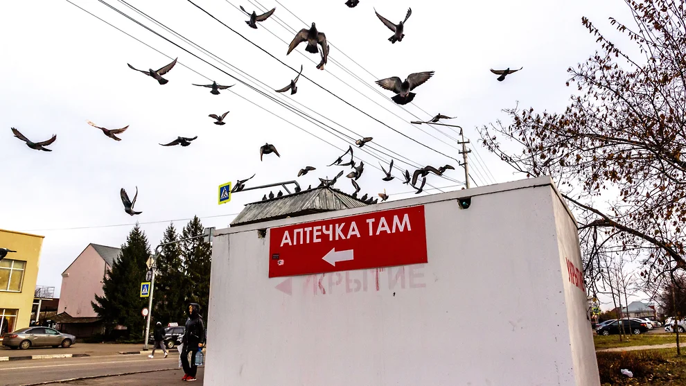 Фото: Коммерсантъ/Константин Франовский