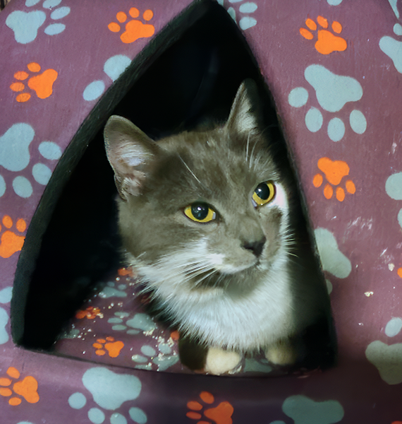 Ужасная копуша, наполнитель повсюду