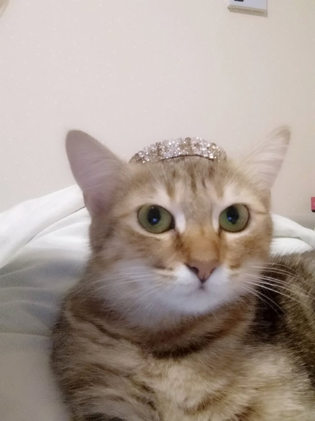 Королевишна Рыся уже дома