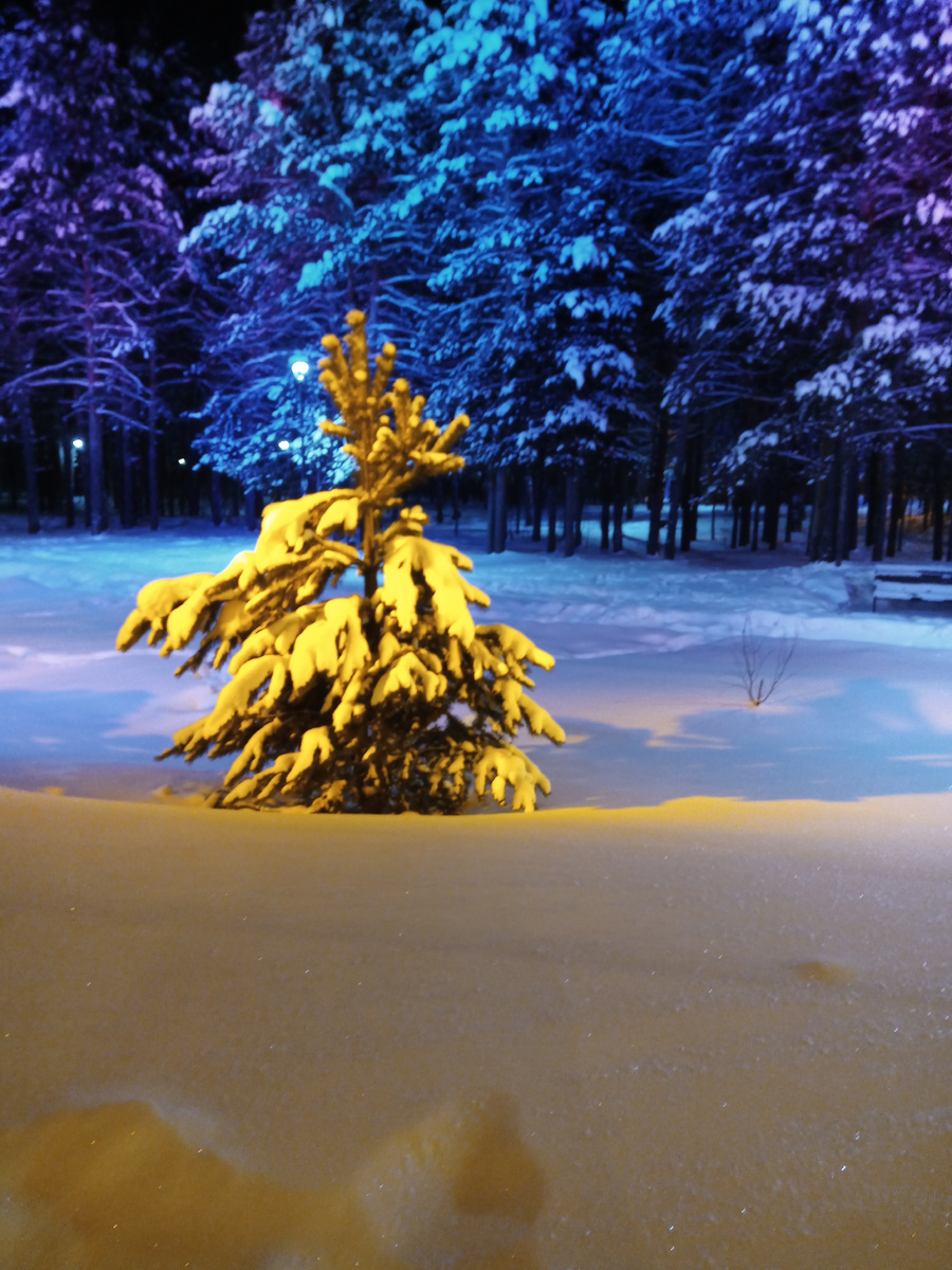 Сургут. Зимний парк.