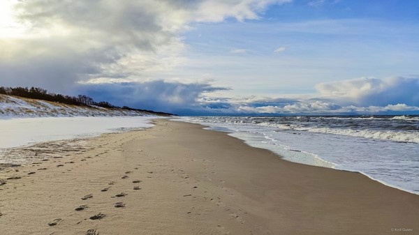 Был снег, дождь, ветер, солнце и так по кругу  ... шум моря и ты ...   

Зима ... на Куршской косе ...   

  