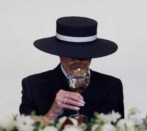 Очень уж образ жены президента Америки был похож на наряд нашей Шапокляк 😂 Ничего личного, просто до жути ее боялась в детстве (Шапокляк) и узнаю ее из 1000 😂