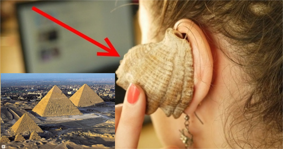 Пирамиды в Гизе математически идеальные в отличие от раковины, поэтому колебания от пирамиды строго на одной низкой частоте (12-15 колебаний в секунду). Раковина же, шумит разными частотами.  