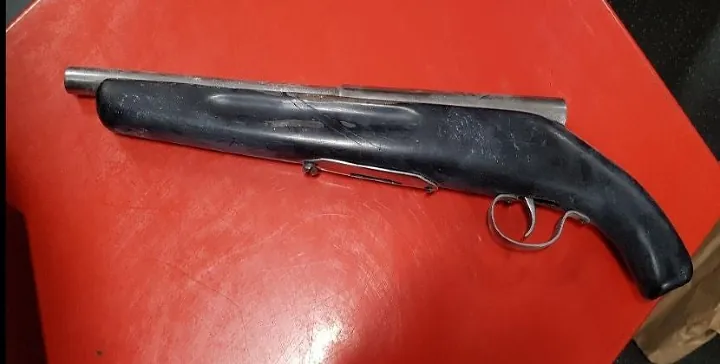 (Фото из открытых/свободных источников, авторы - Queensland Police Service, CC BY 4.0)