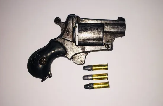 (Фото из открытых/свободных источников, авторы - National Capital Region Police Office)