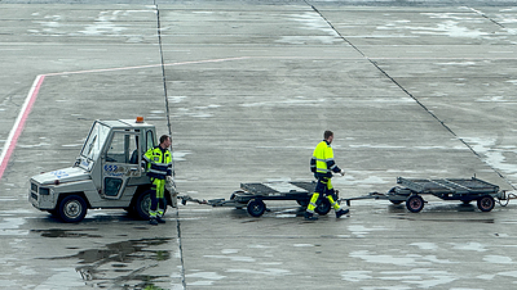    Фото: Petrov Sergey/Globallookpress.