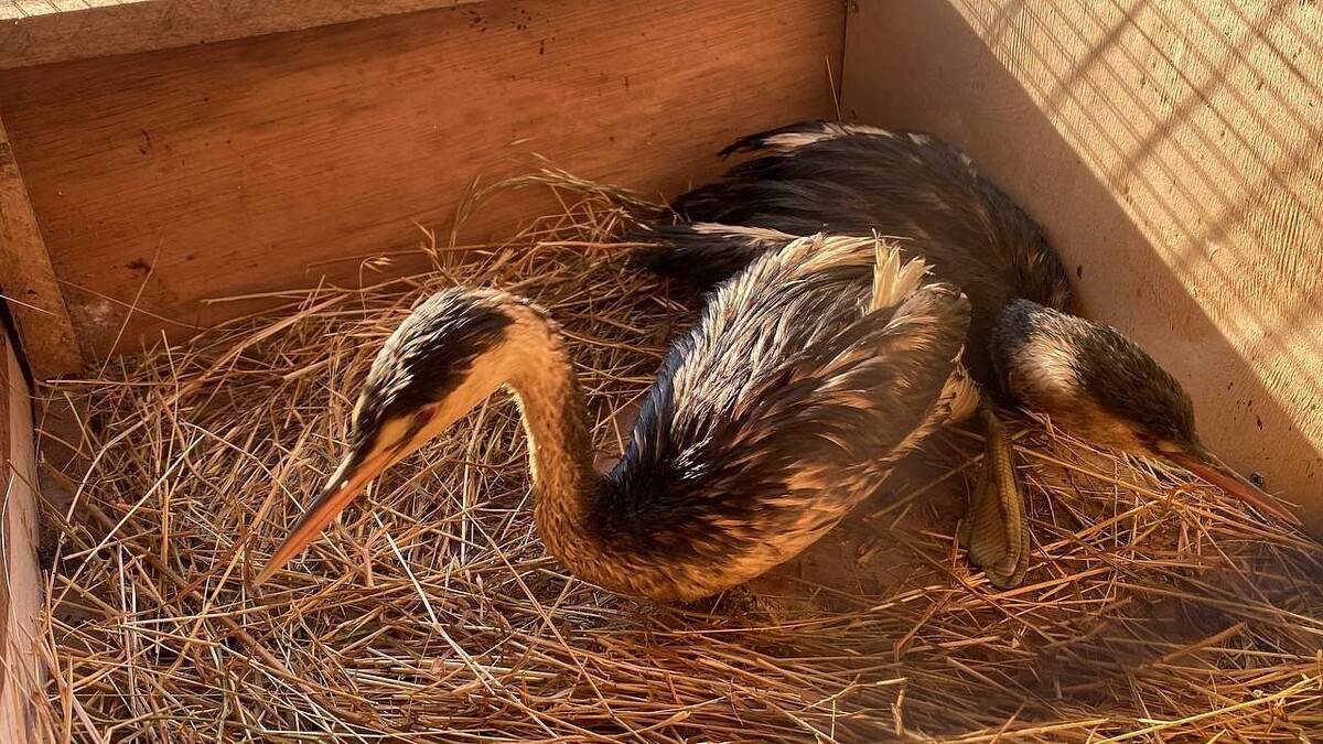    Фото: телеканал «Краснодар»