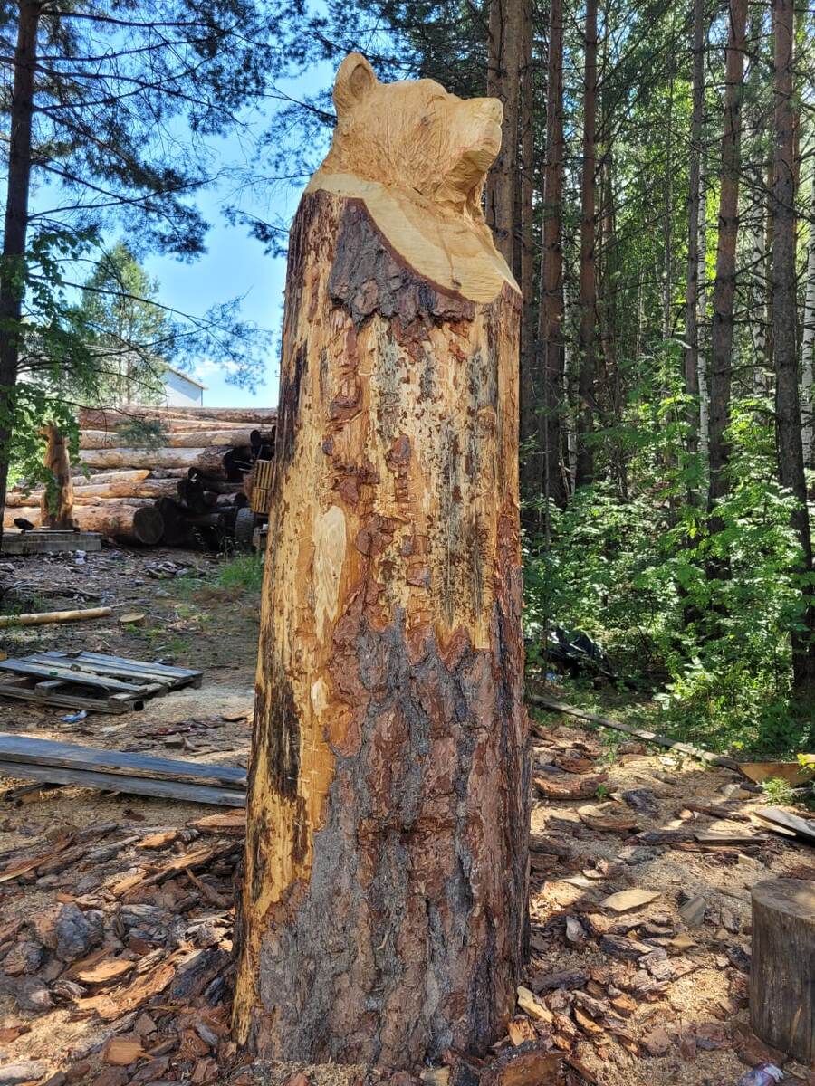 Сентябрь 2022 г. Будущий красавец.