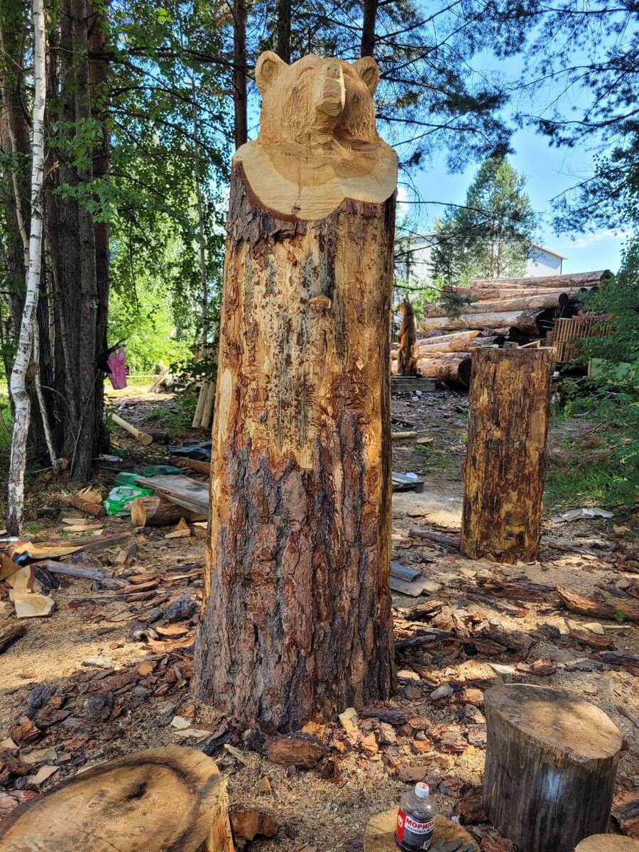 Сентябрь 2022 г. Будущий красавец.