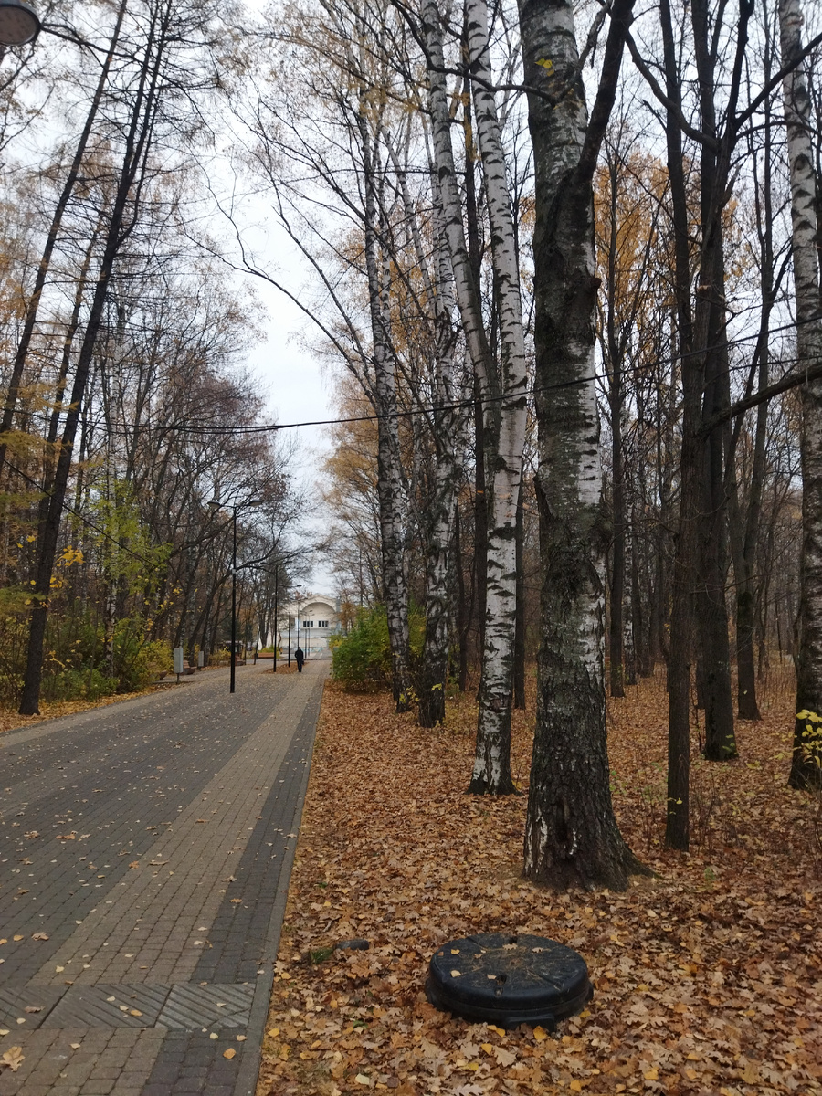 Парк "Дубки". Осенняя дорожка. 