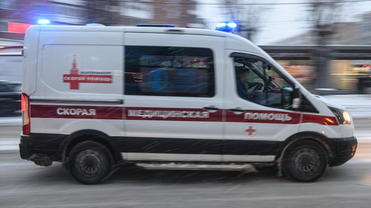    Фото:Ilya Moskovets/globallookpress.com