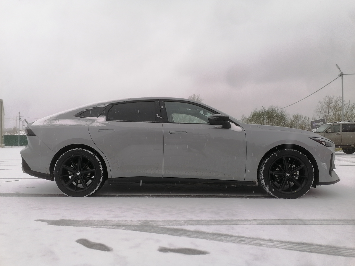 Собака сутулая или породистая гончая? 