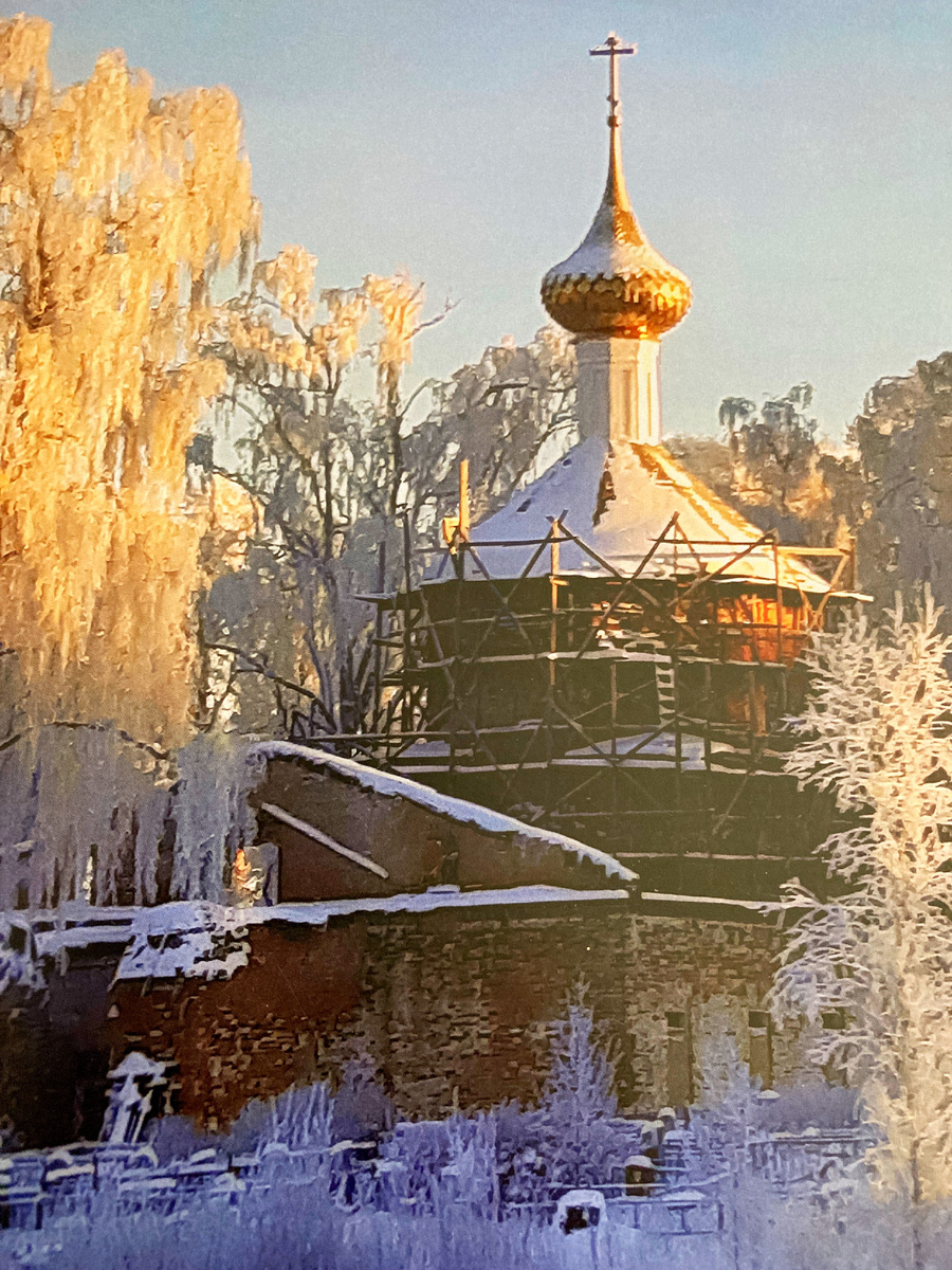 фото Елены Шершень