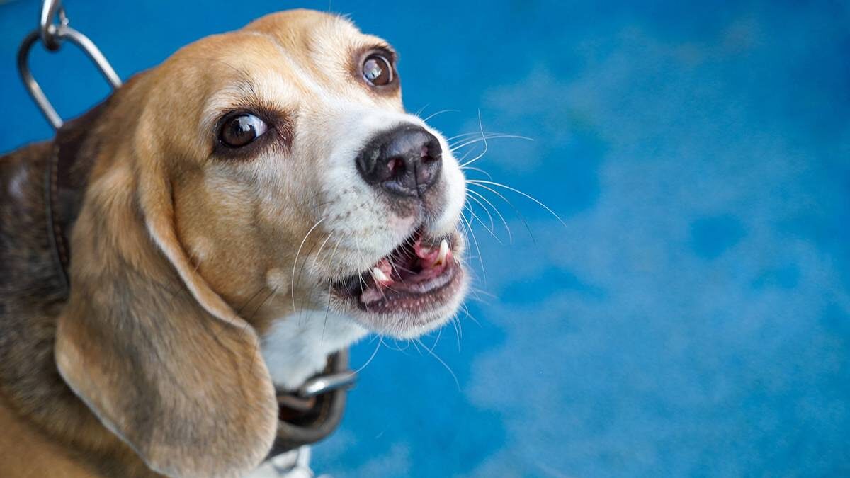    Фото: Пелагия Тихонова / АГН Москва