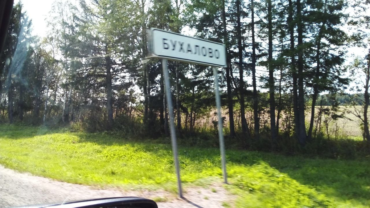 (фото автора)