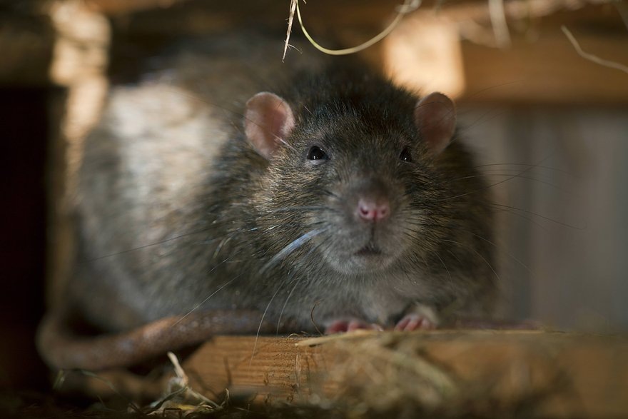    Фото: J. Fieber / Globallookpress.com