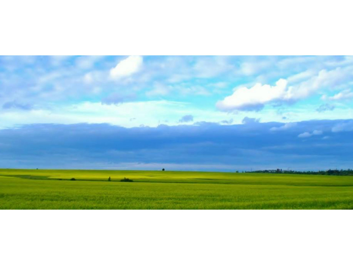 Луг в районе с. Хавки (Тульская обл., Веневский р-н), источник: https://www.komandirovka.ru/cities/havki/