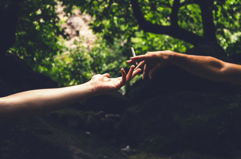 изображение с сайта supa.ru