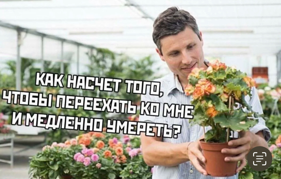 Фото из открытых источников. 