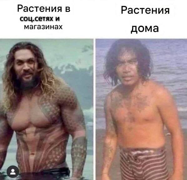 Фото взято из свободных источников. 