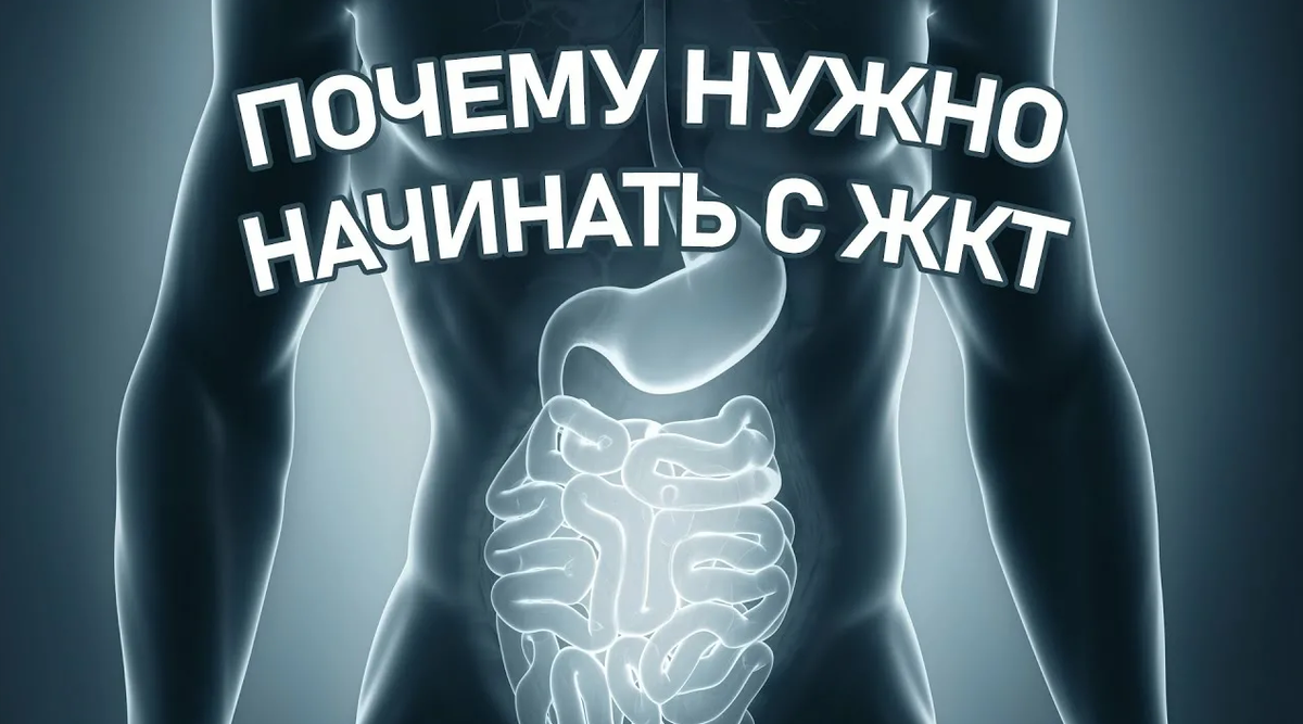 Источник: Яндекс картинки из свободного доступа