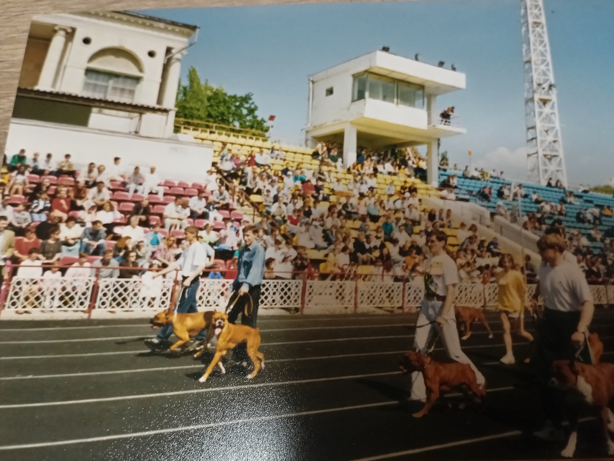 Парад участников выставки