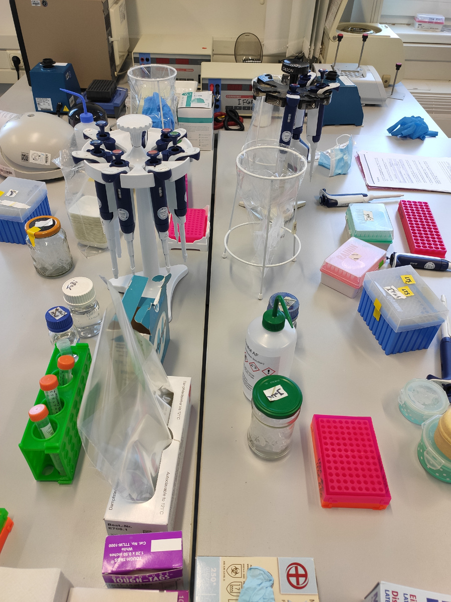 В лаборатории