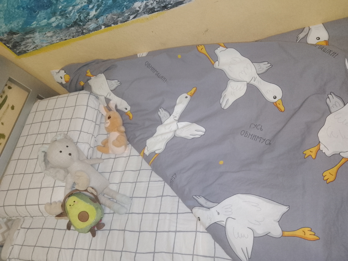 Зацените мою новое постельное!