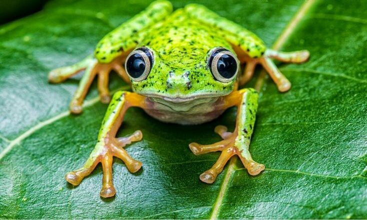 Вот такая тема с Олей 