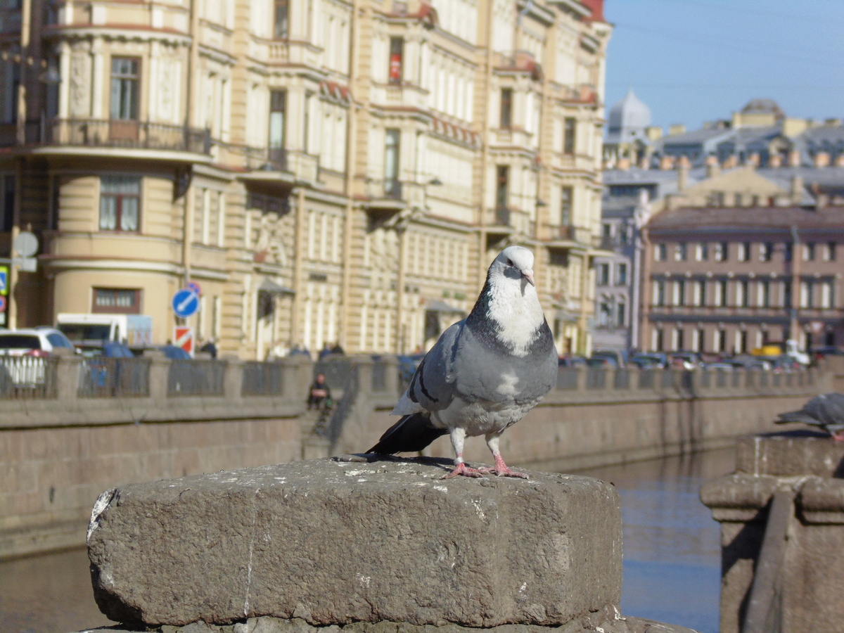 Фото автора