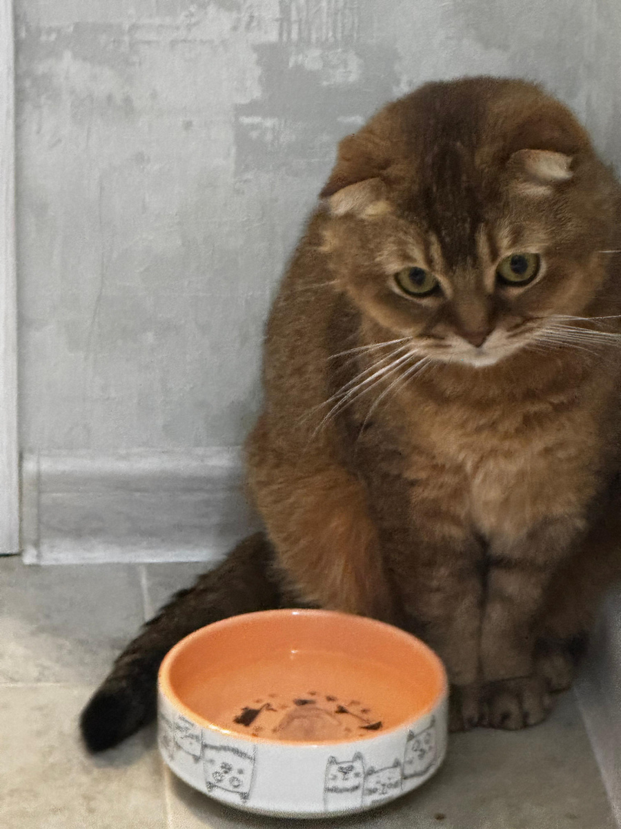 Мэй Ли (из личого архива)