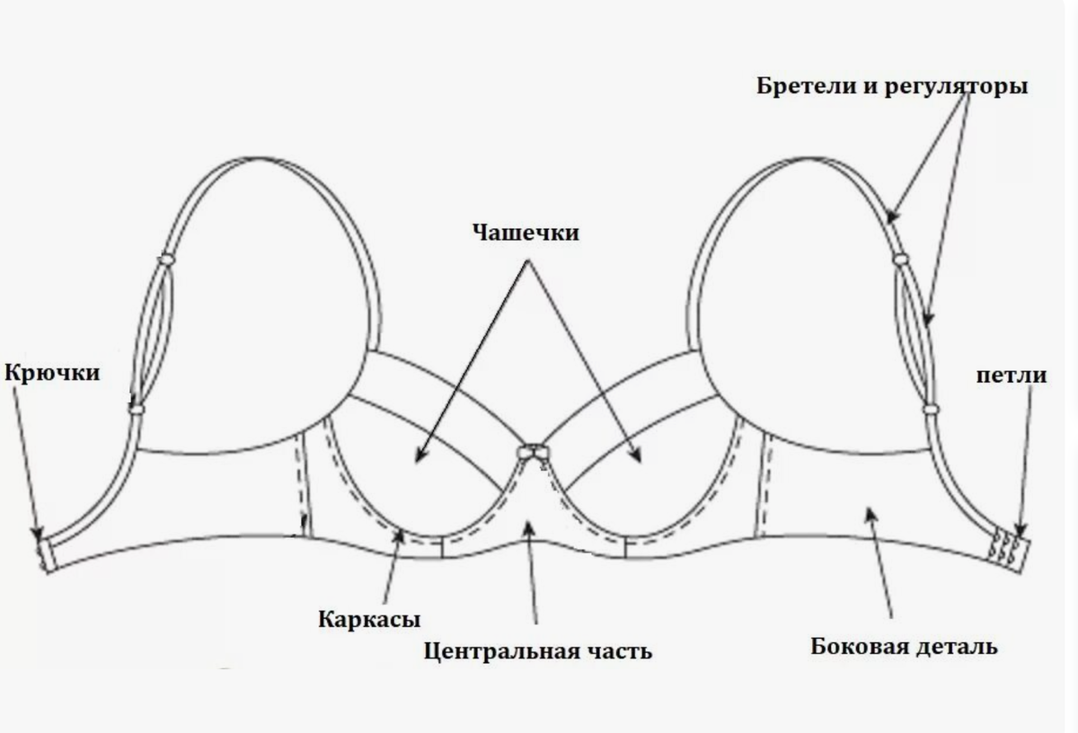 Основные составляющие бюстгальтера.