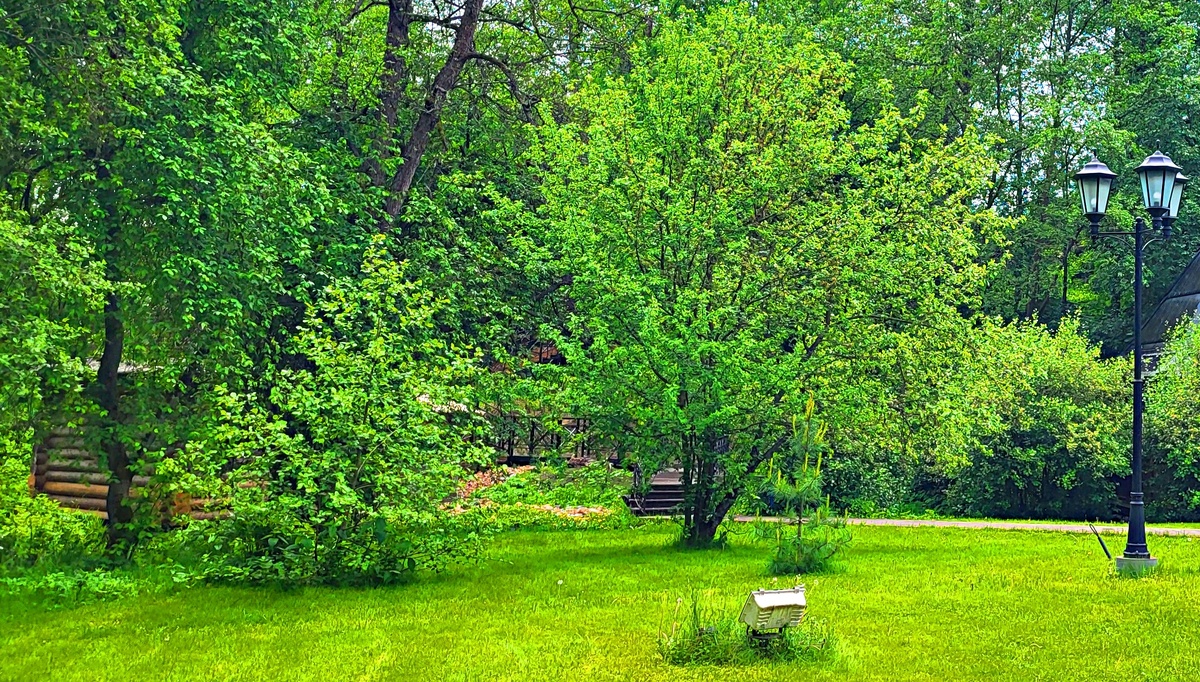  Скучаю по лету.