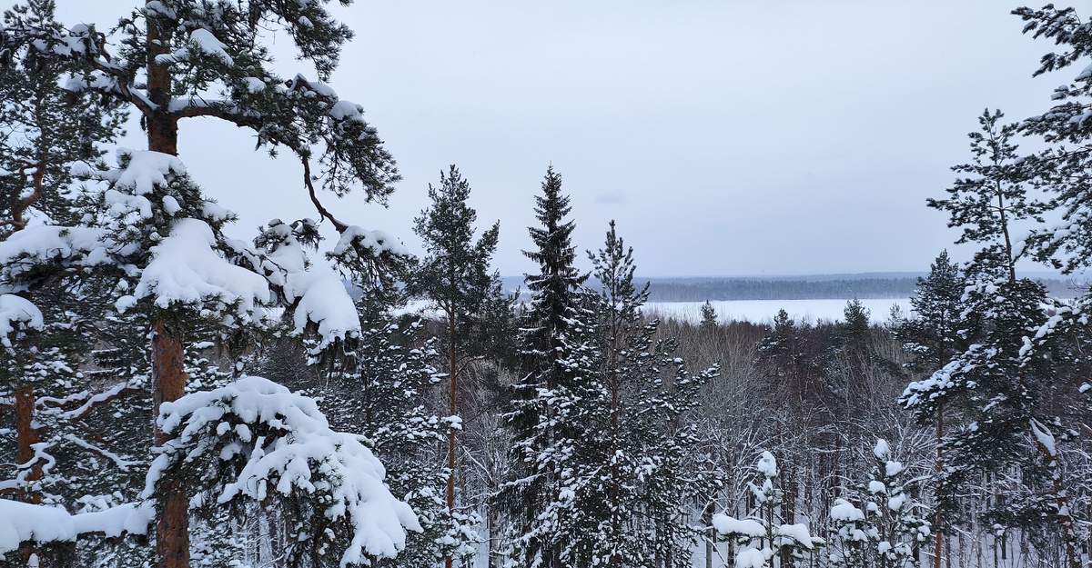 вид с горы Сампо на Кончезеро