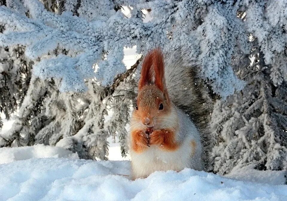 Вот такая тема с Олей 